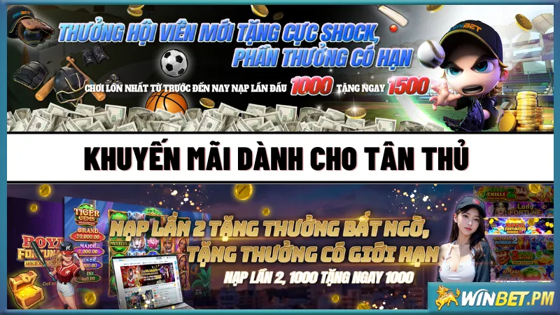 Ưu đãi nạp tiền siêu shock cho hội viên tham gia khuyến mãi Winbet