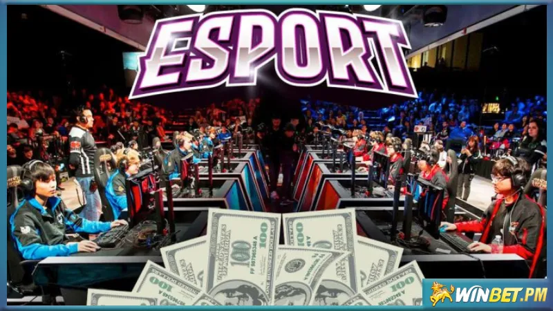 Cách cá cược esports