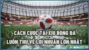 Cách cược tài xỉu bóng đá