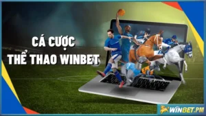 cá cược thể thao Winbet