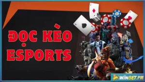 đọc kèo Esport