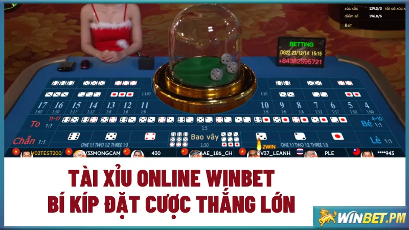 tài xỉu online winbet